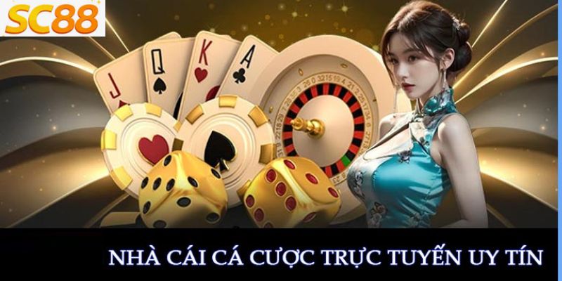 SC88 Lừa Đảo Hay Uy Tín? Sự Thật Đằng Sau Những Tin Đồn